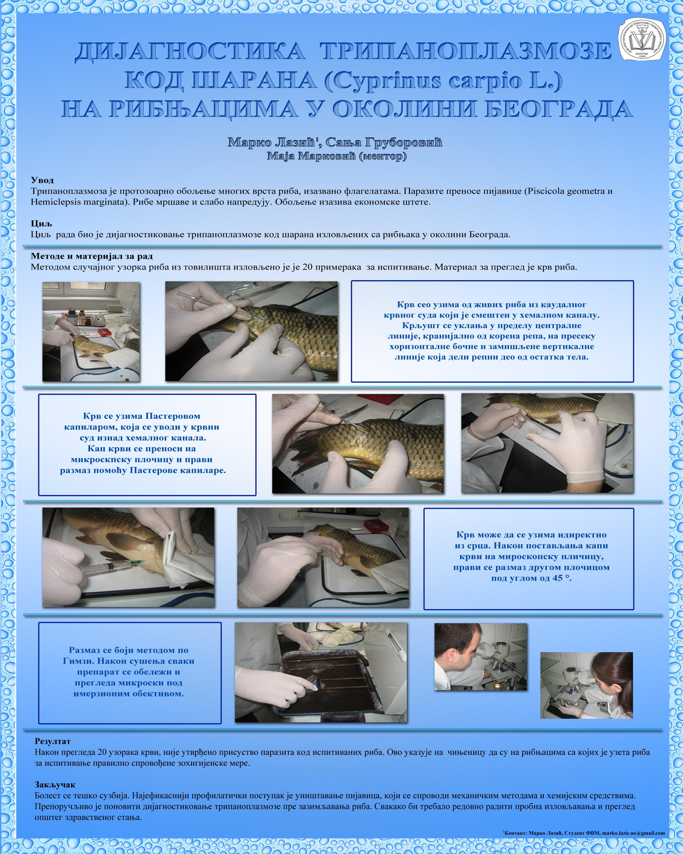  (2011.) Марко Лазић, Сања Груборовић. Дијагностика и терапија трипаноплазмозе код шарана (Cyprinus carpio) на рибњацима у околини Београда